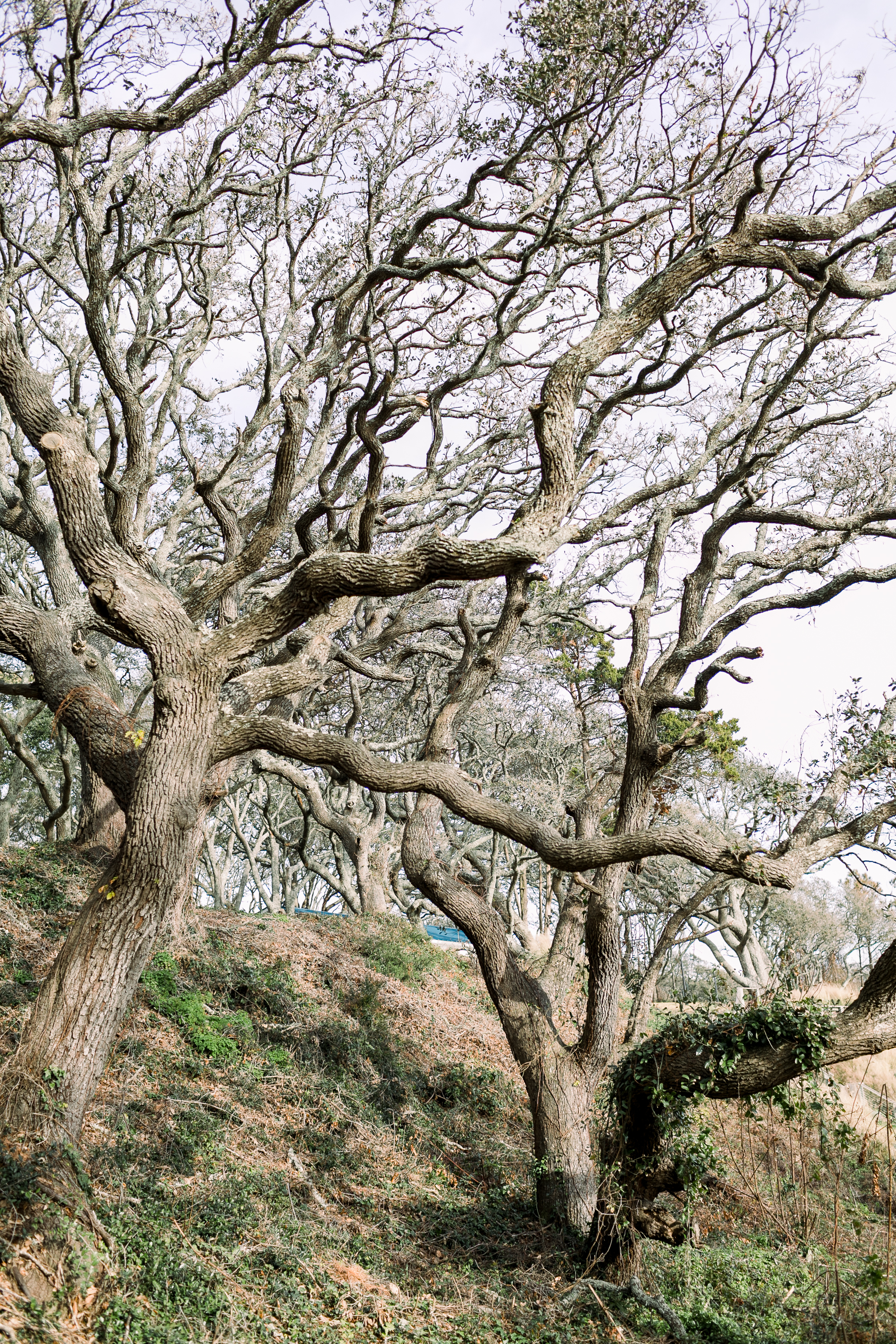 TheWhiteOak_ErinL.TaylorPhotography-77.JPG