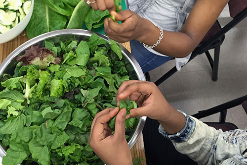 Greens and produce from the garden being processed by students—ready to be cooked!