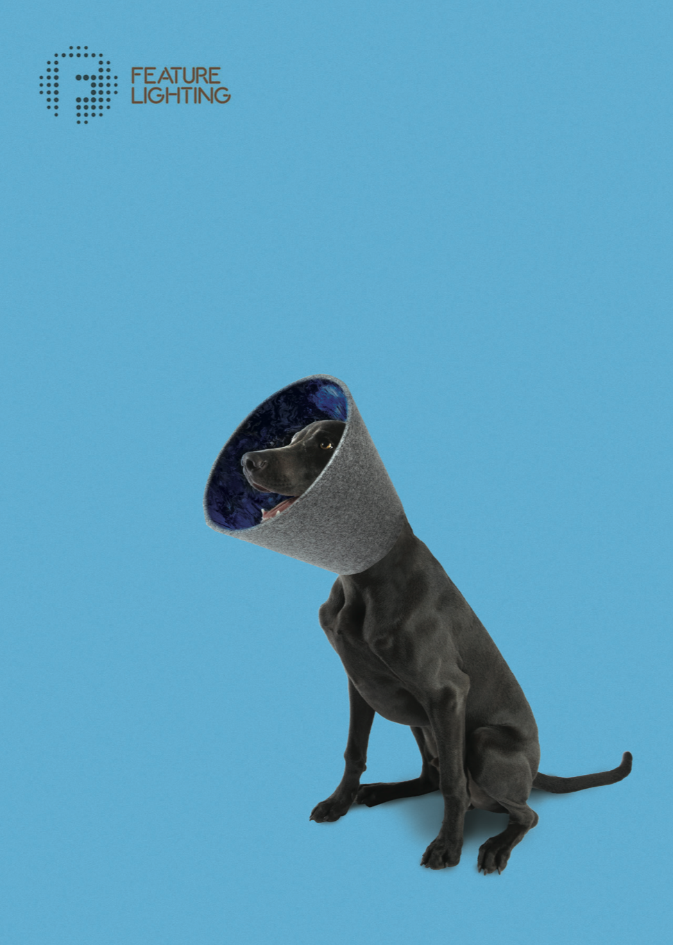 Feature Lighting - Blu Weimaraner Cone of Shame.png
