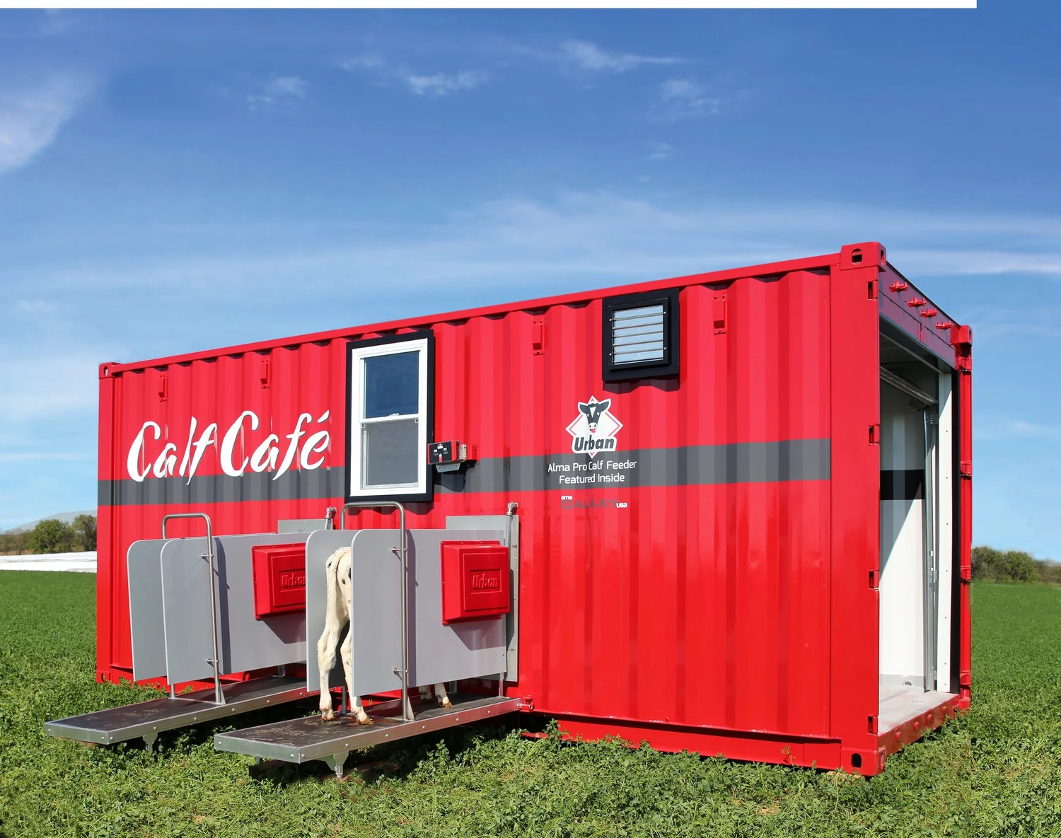Calf Cafe Ams Galaxy Usa