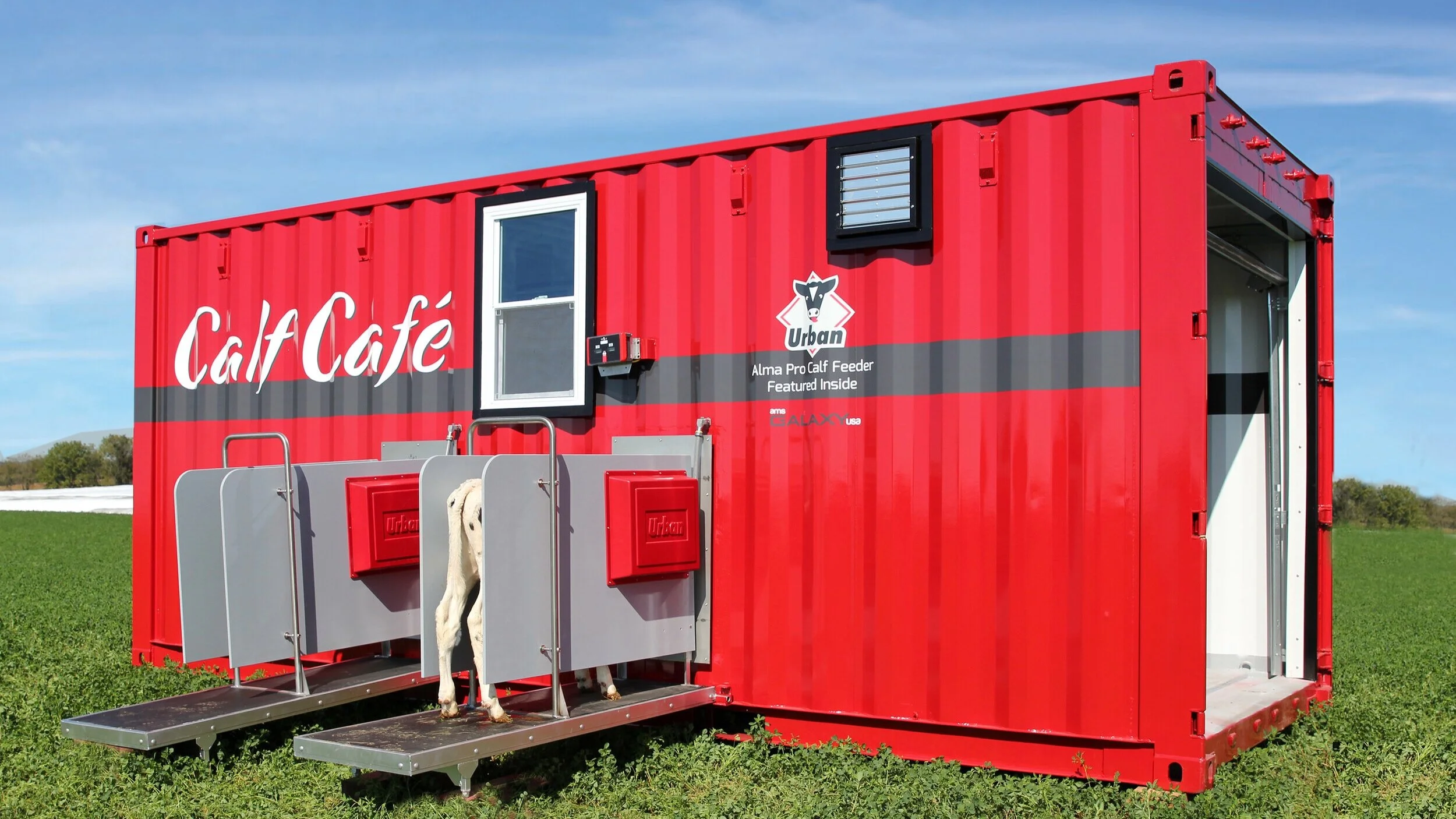 Calf Cafe Ams Galaxy Usa