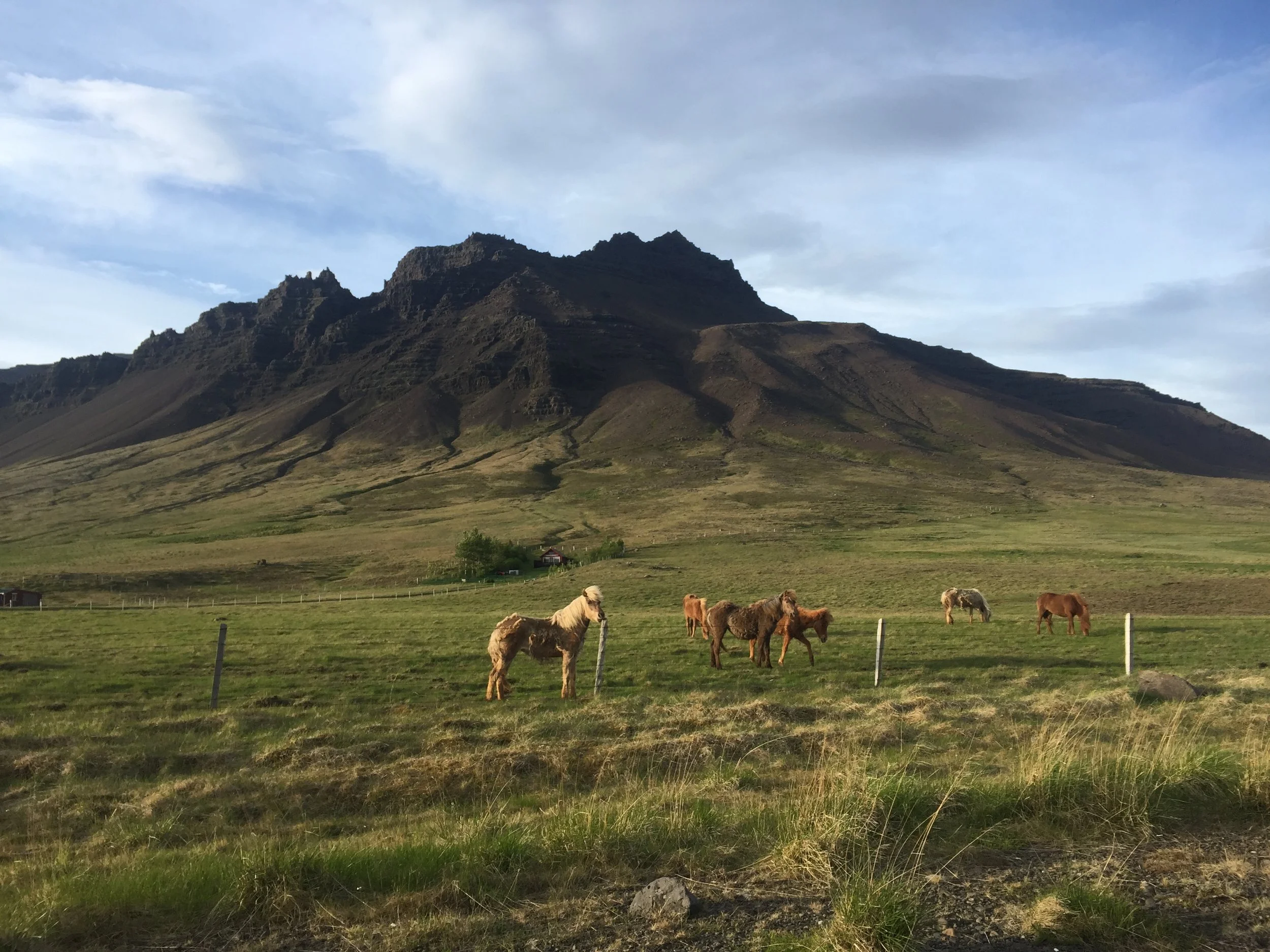 Iceland