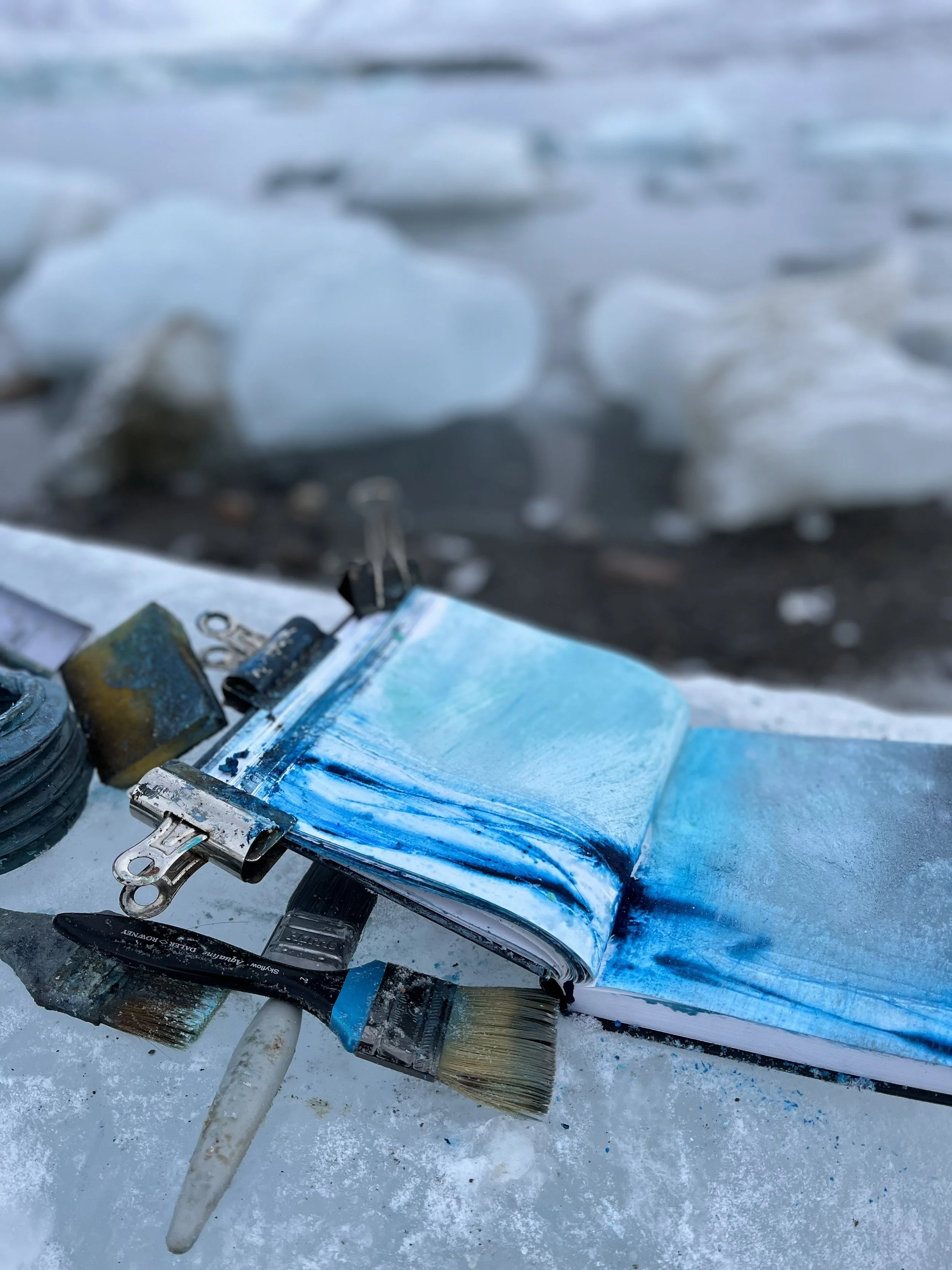 High Arctic Expedition