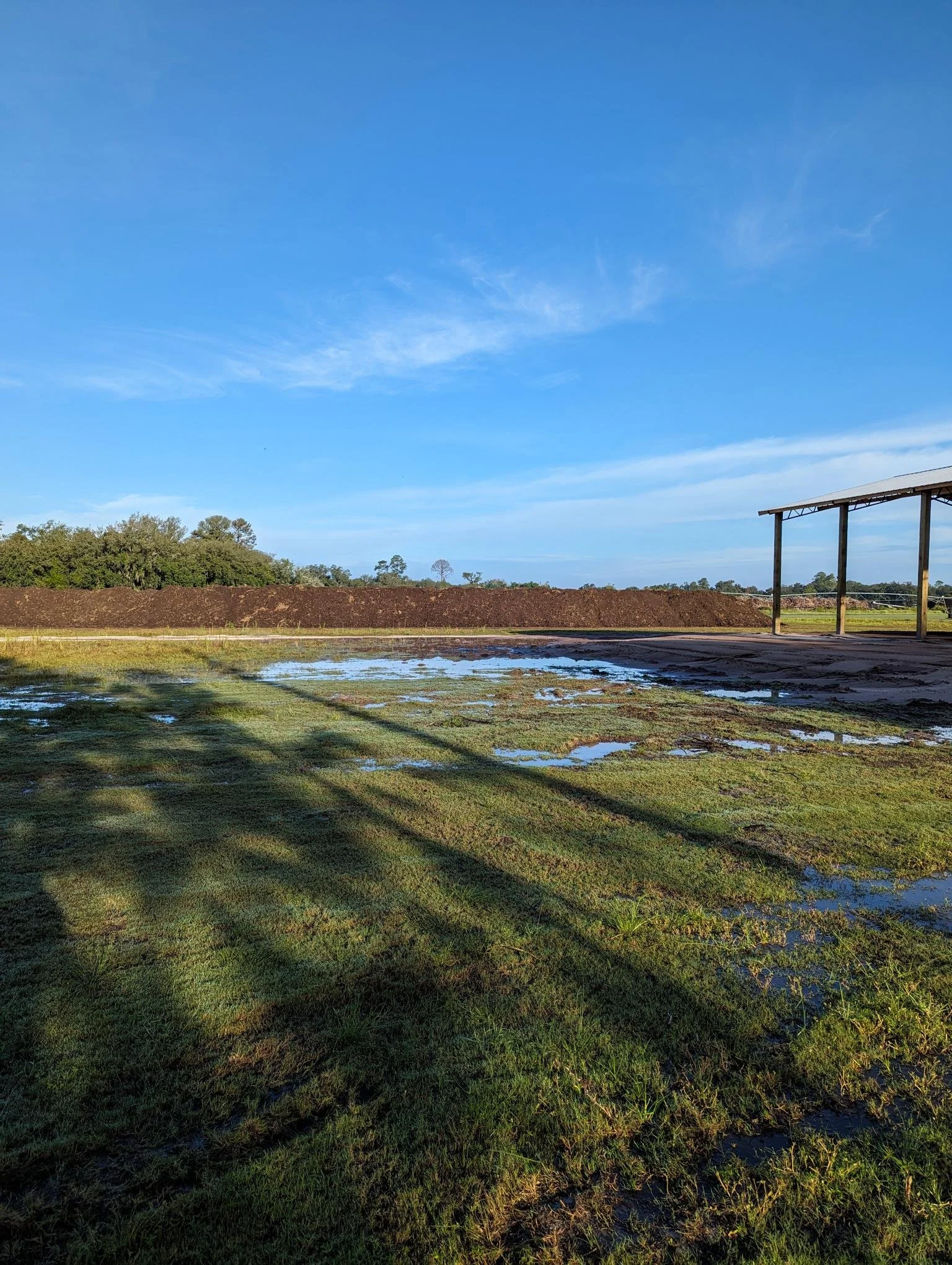 9-26-23 Build Pad grass.jpg