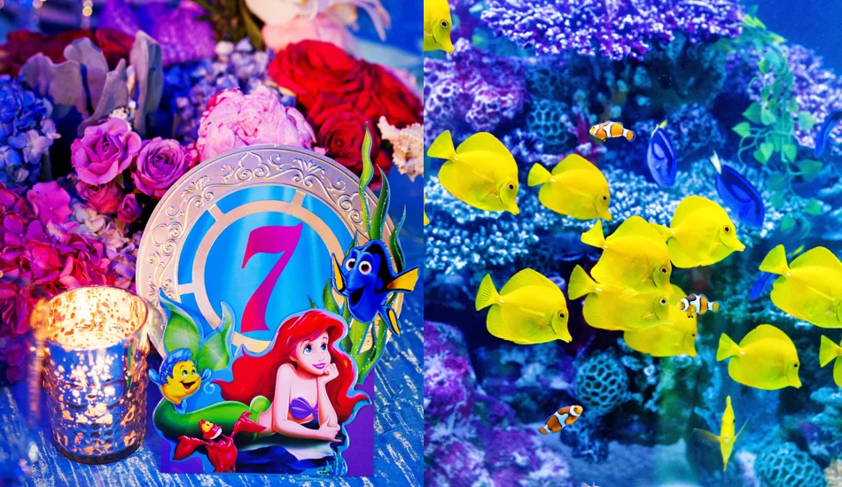 Finding Nemo.014.jpeg