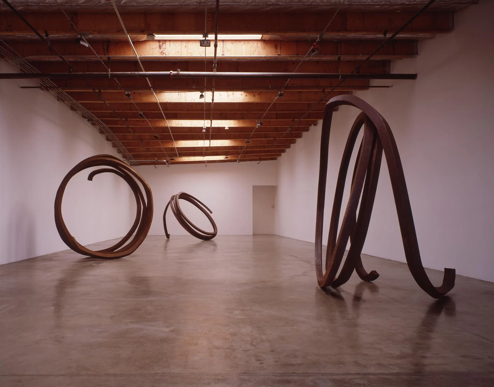 Bernar_Venet.jpg