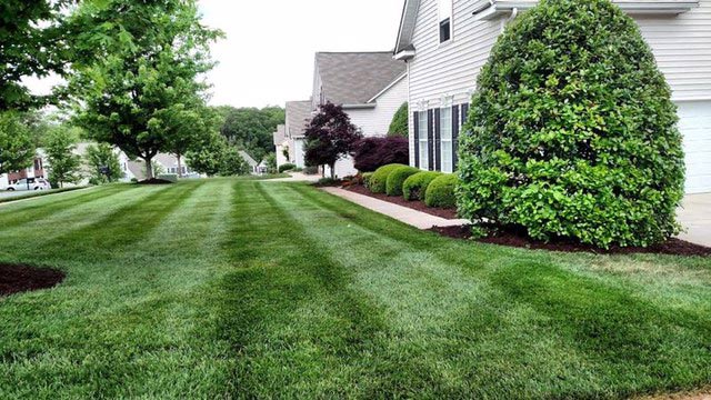 Freshly mowed lawn, lawn care maintenance by Ivanoff.