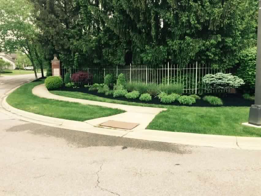 Neighborhood sidewalk with fresh cut grass cared for by local lawn care and landscape company.