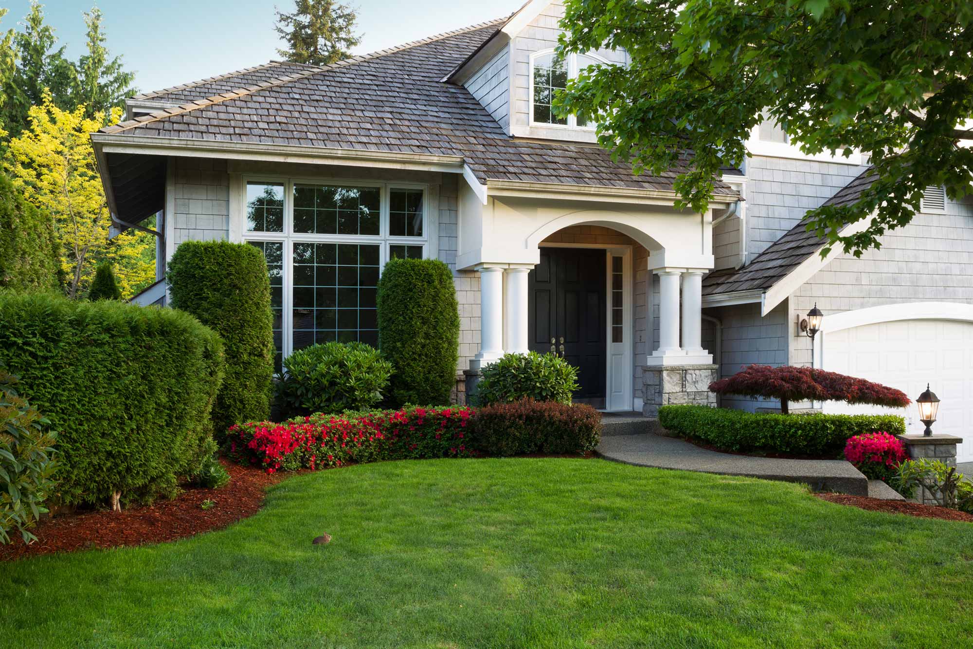 Lush grass in homes front yard, lawn care Delaware.