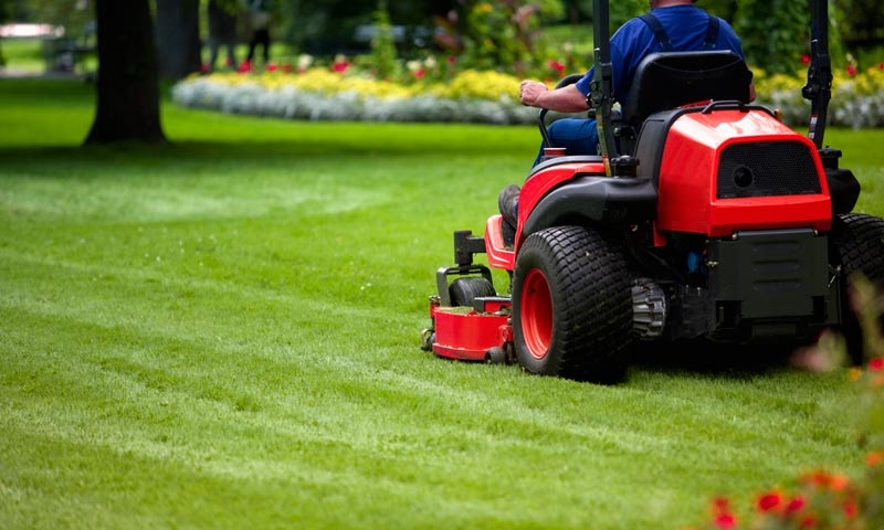 Lawn Care Delaware Landscaping, Lawn Care And Landscaping