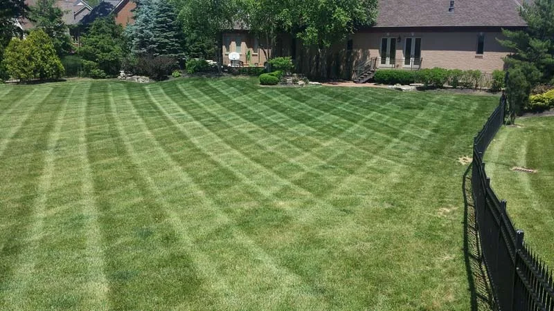 Freshly mowed backyard of home, part of lawn care maintenance by Ivanoff.