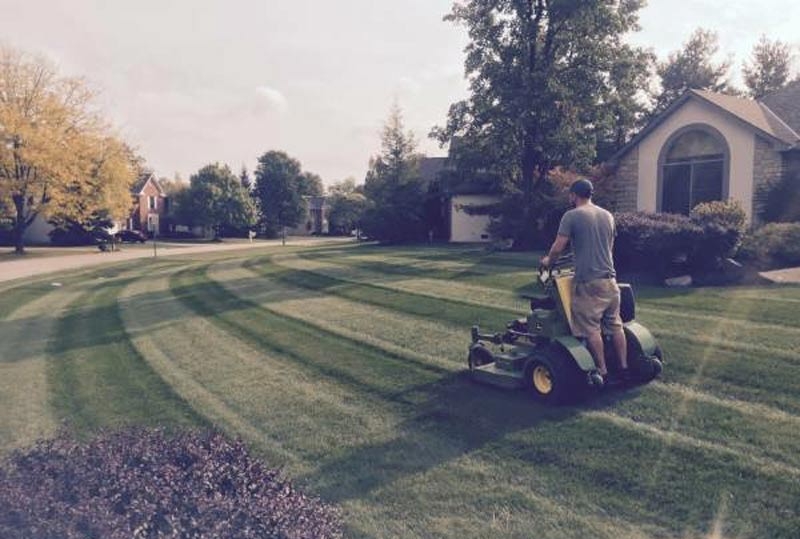 Local Lawn Care And Landscaping, Local Landscape Maintenance Companies