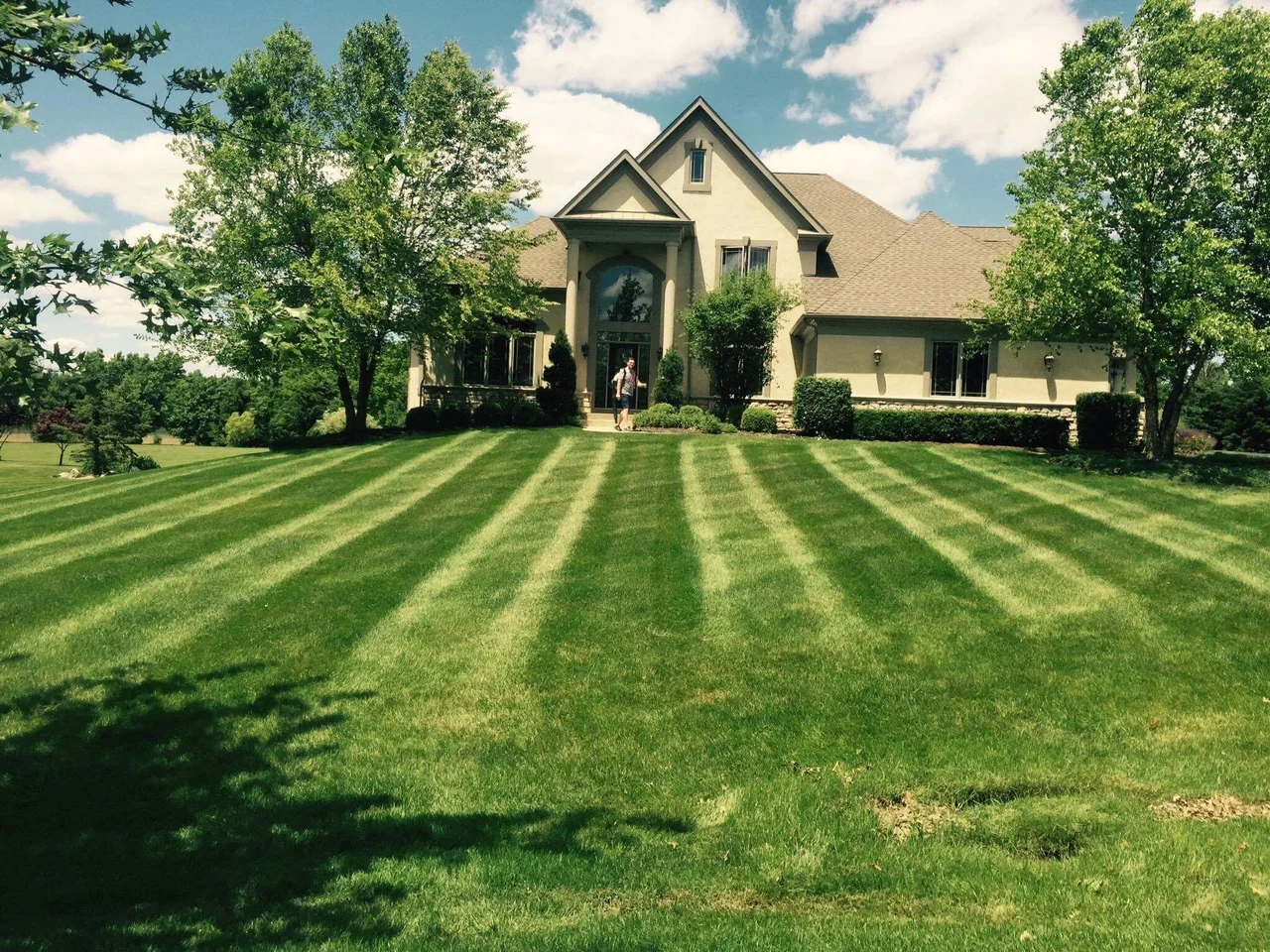 How to Treat Your Lawn in Spring
