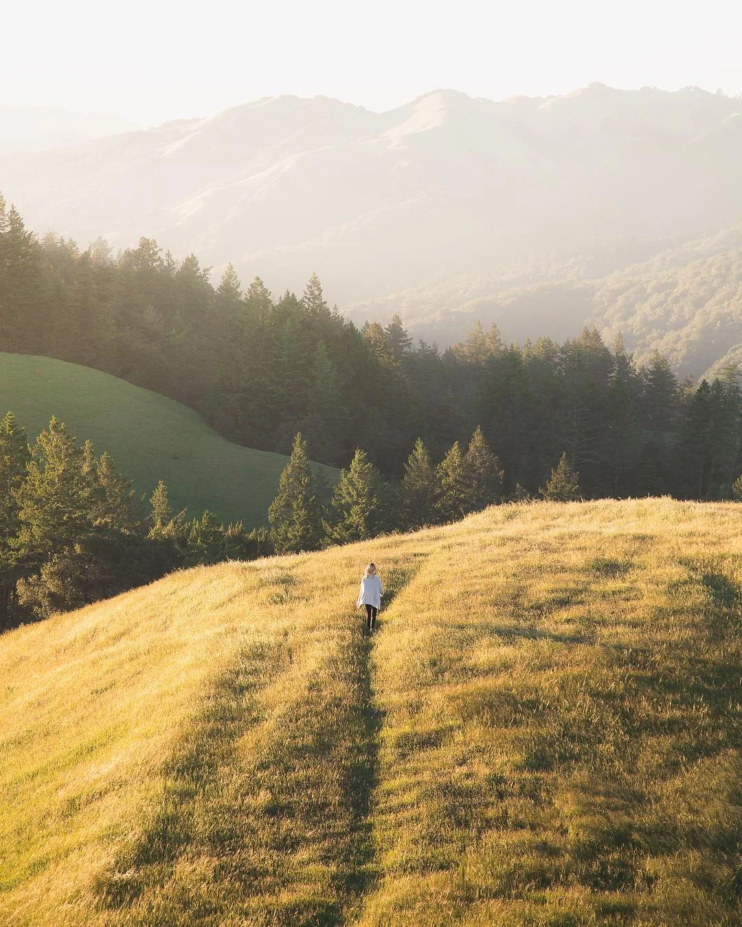 Mount Tamalpais State Park | Marin County, CA.