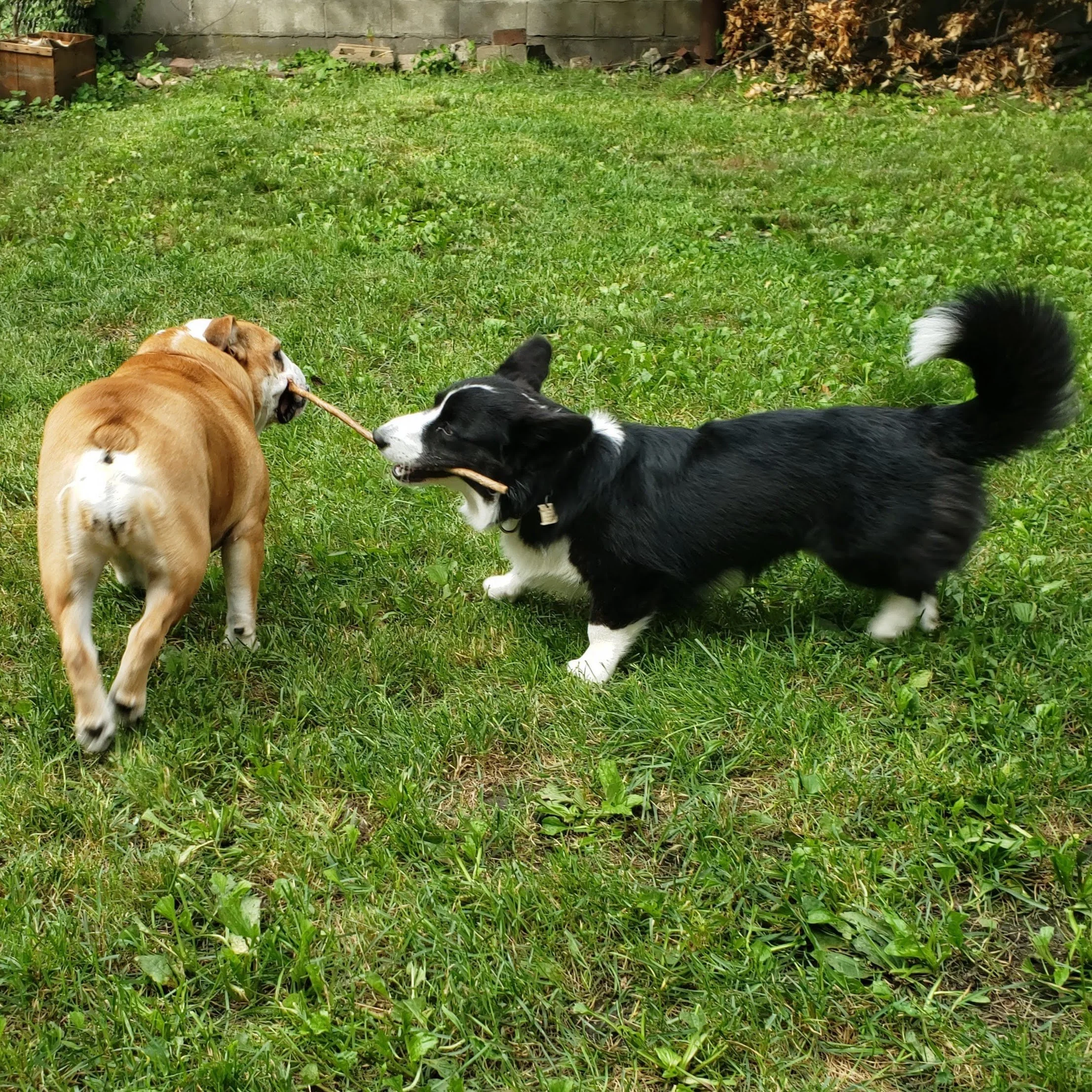 20190823_161416~2.jpg