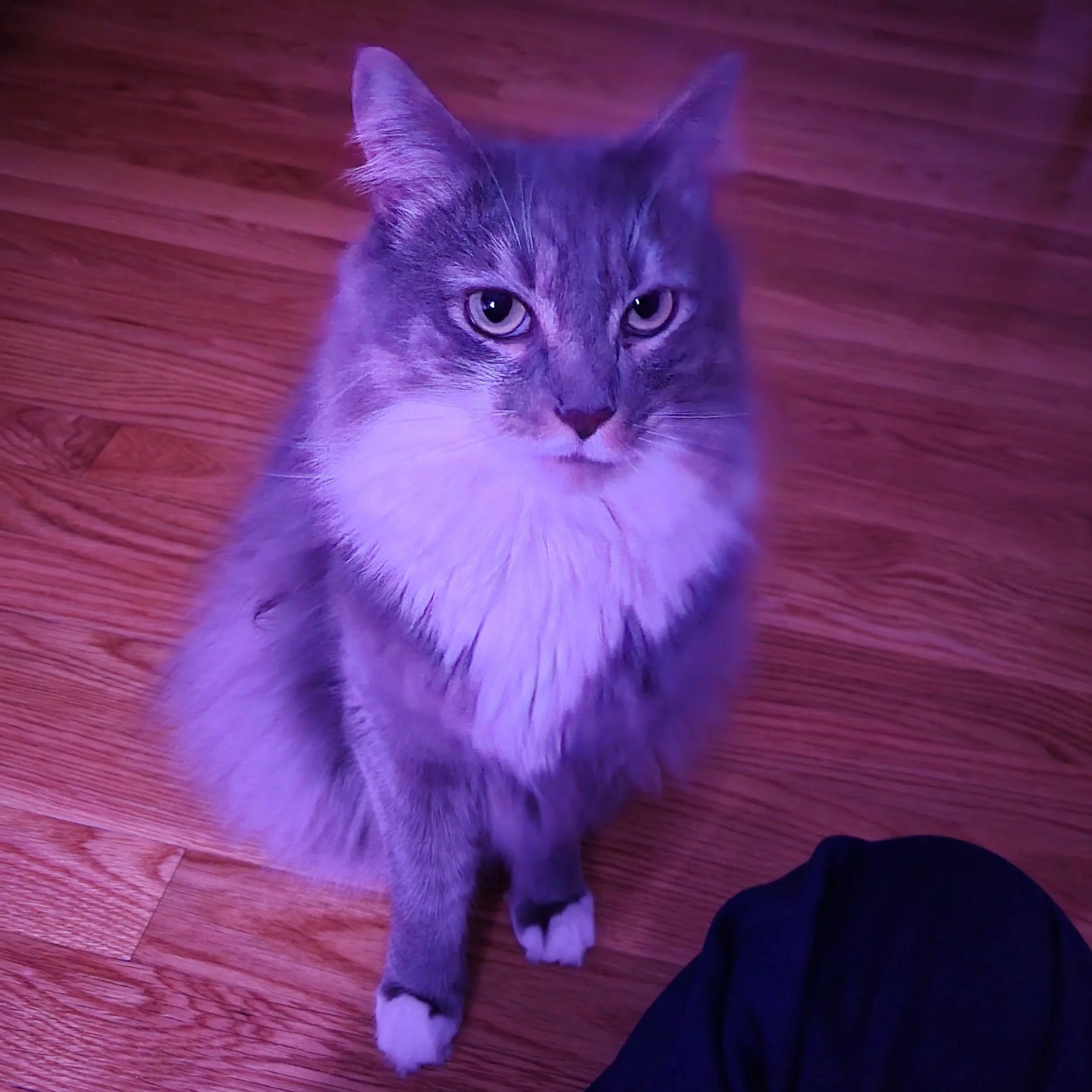 20250418_211442.jpg