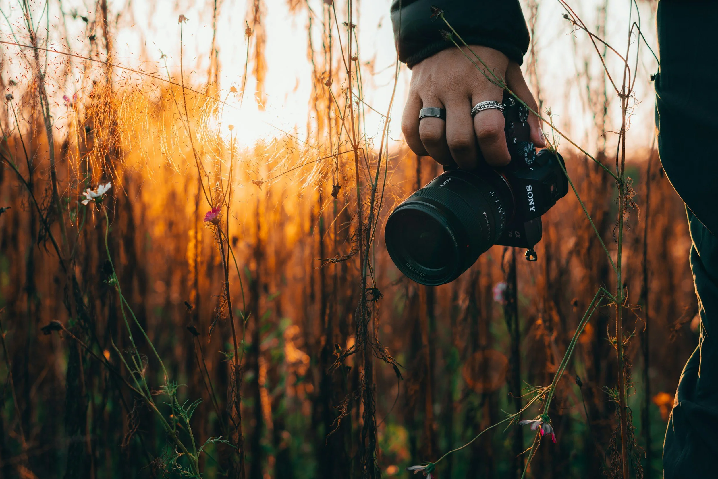 unsplash-image-kDapjWAgToY.jpg