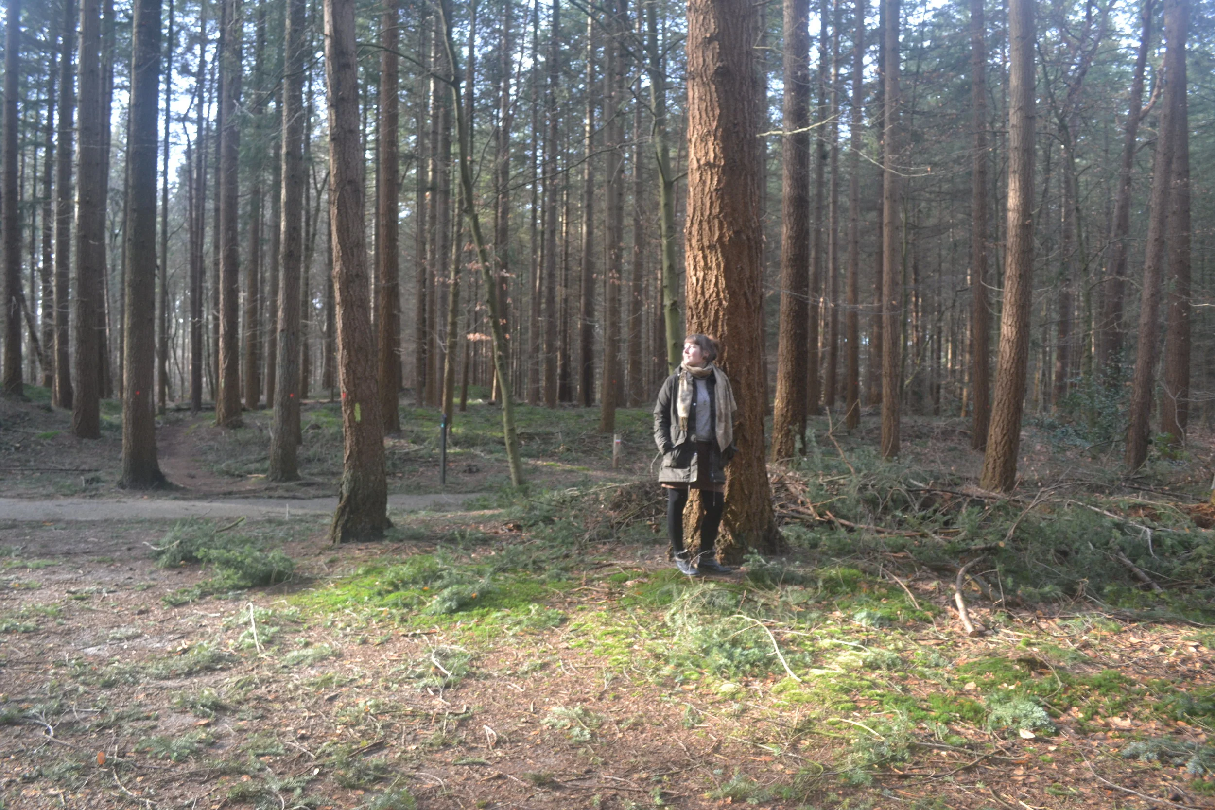 DSC_0243.JPG