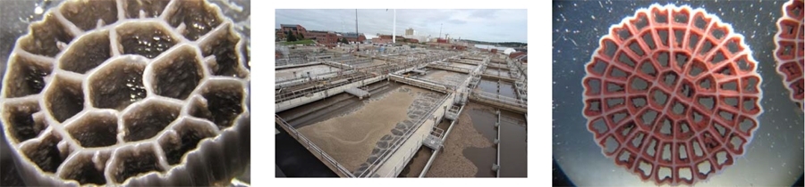 Kruger AnoxKaldnes MBBR & IFAS