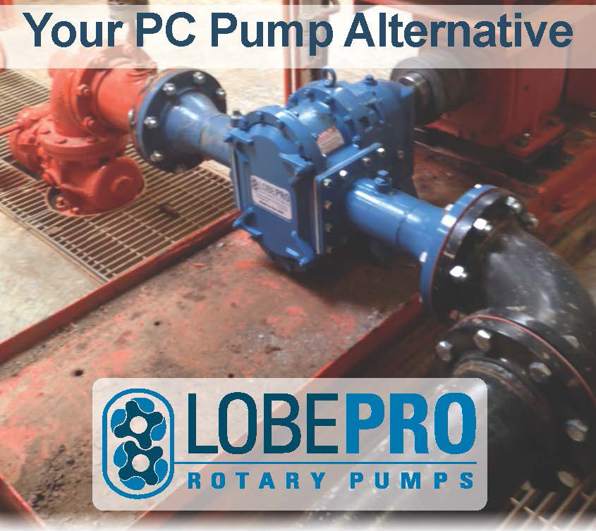 Lobepro 9.jpg