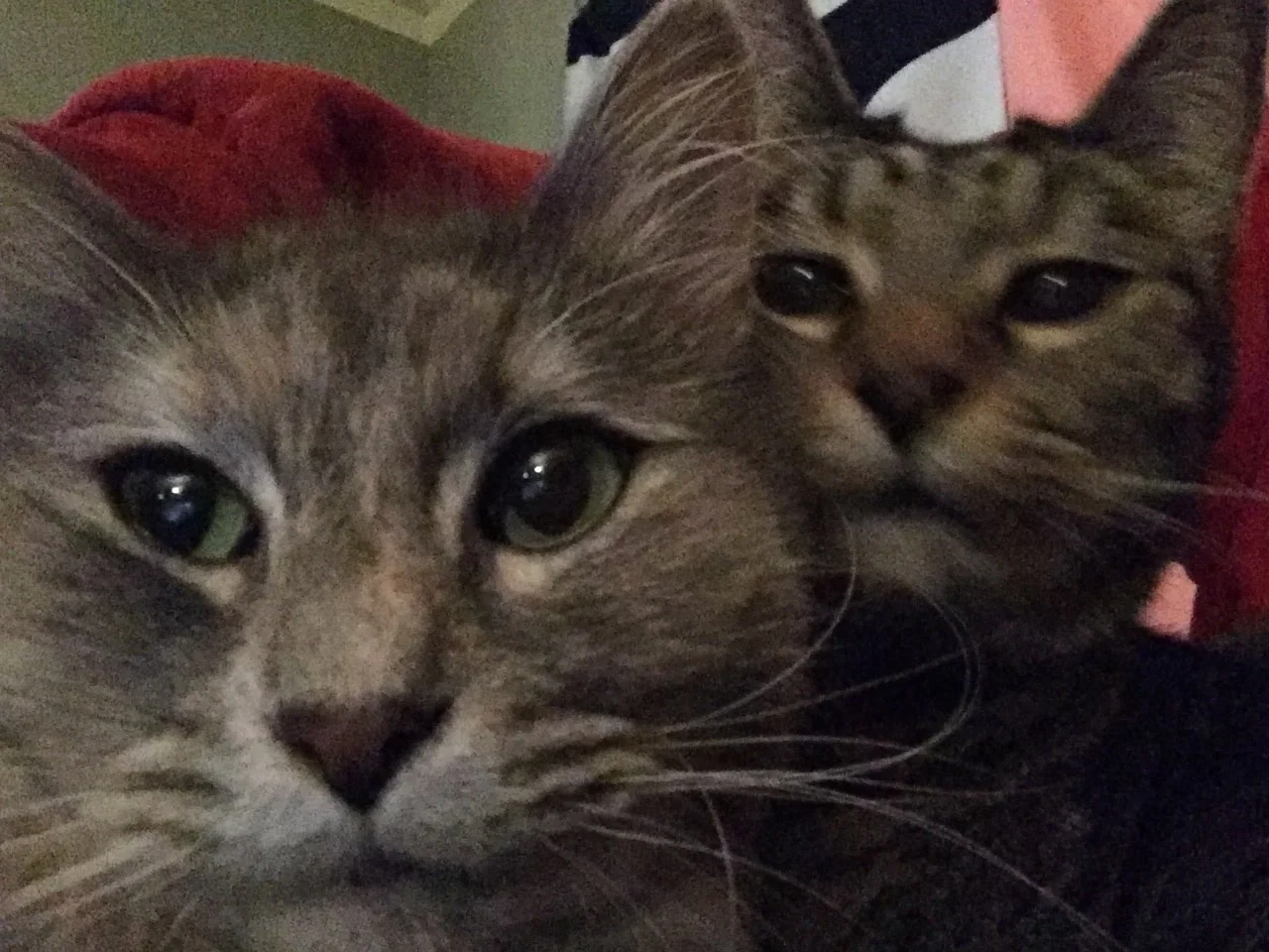 Big Girl and Baby Man