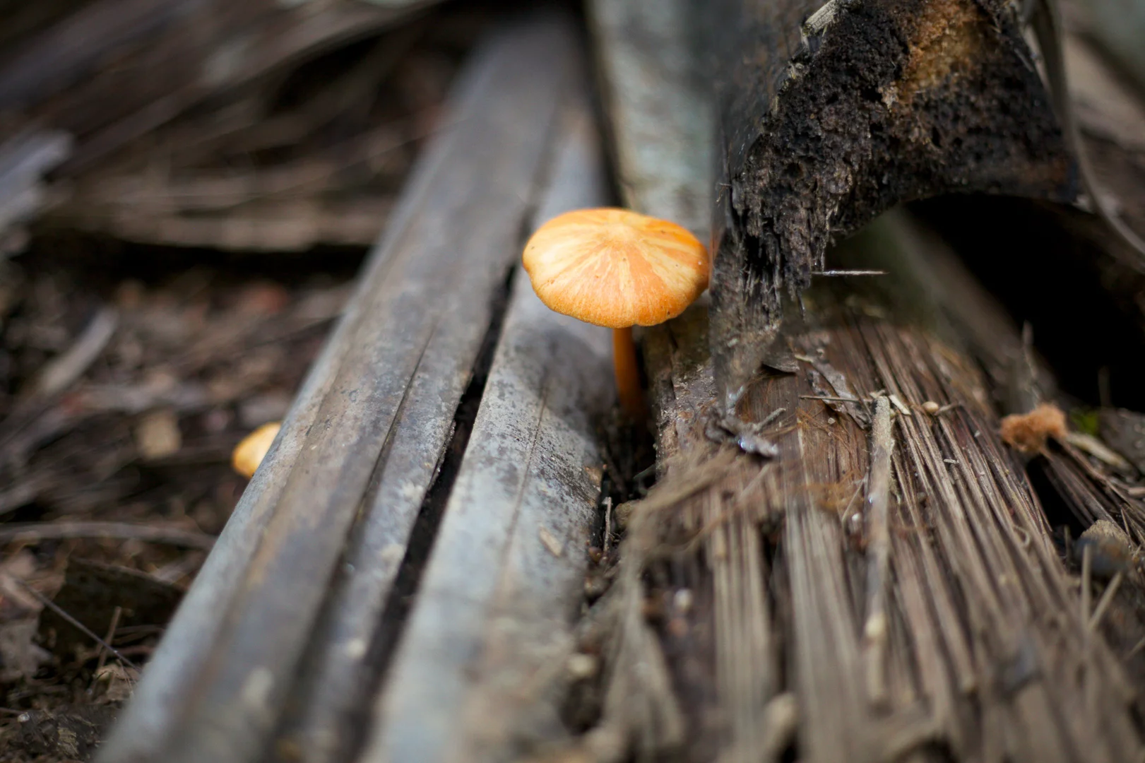 erinfryphotography.com_web-9566.jpg