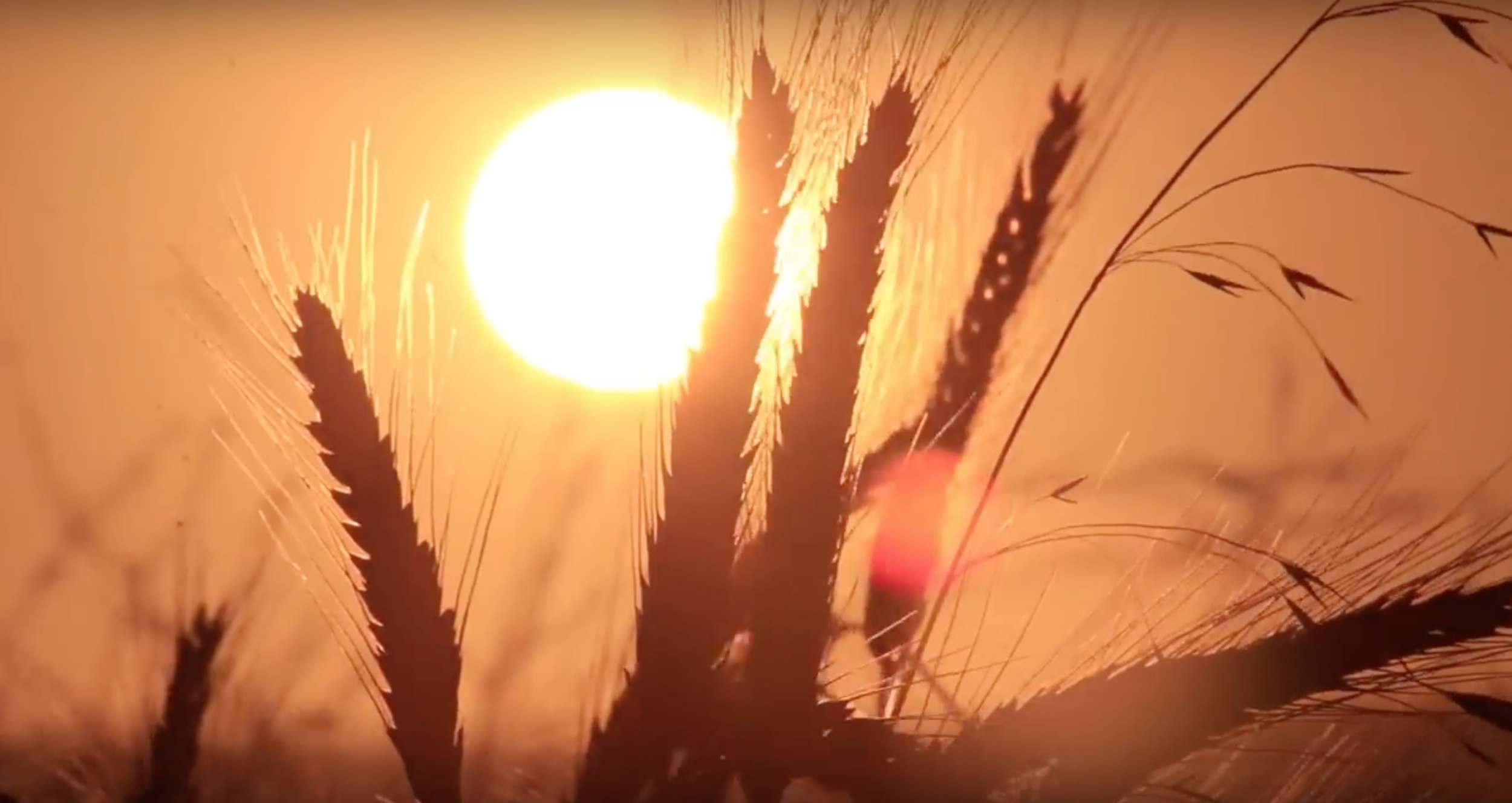 Screen Shot 2018-01-12 at 12.23.09 PM.png