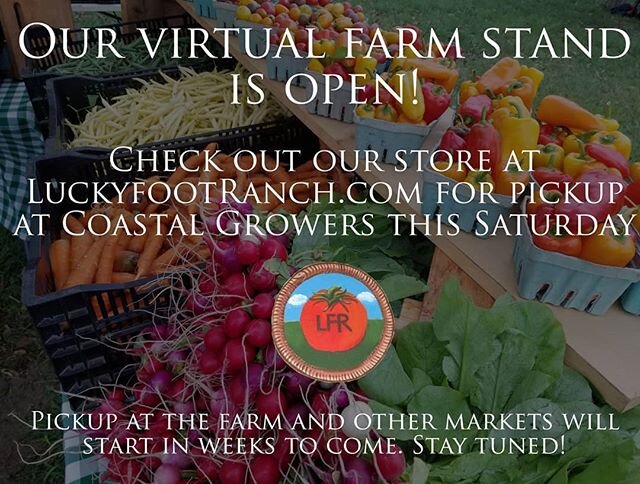 That's right! We're open and stocked with green, roots, and herbs for pickup Saturday!

Since this devilry is brand new to us, we're getting a feel for it this week, and are planning to have pickup at the farm and other markets rolling asap!