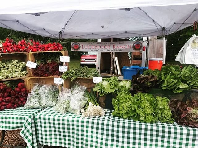 We're at all 3 of our markets starting this weekend!

Fri - Goddard Park 9-1
Sat - Casey Farm 830-1230
Sun - Fisherman's Memorial 9-1

We'll have all your roots, shoots, and greens. See you soon!