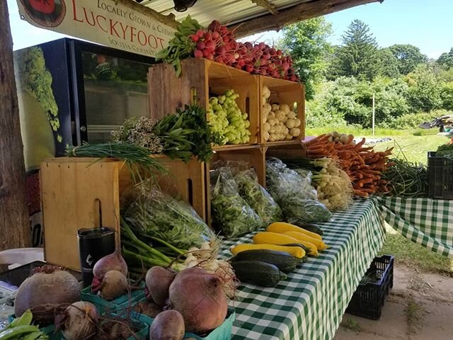 We're open until 6 this evening! We've got greens, pea pods, lettuce heads, even a few squashes kickin around for ya

Cmon by 1337 Gilbert Stuart Road N Kingstown RI 02852 and stock up for the week!