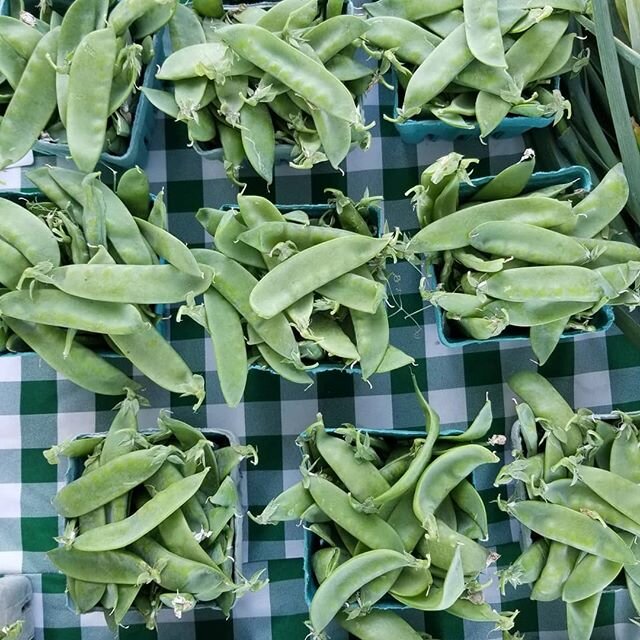 Swing by the farm between 2 and 6 this afternoon to get your mitts on some fresh veggies

We've got your greens and roots, and new this week, squash, zucchini, cukes, chard and kale!

Find us at 1337 Gilbert Stuart Road N Kingstown RI 02852