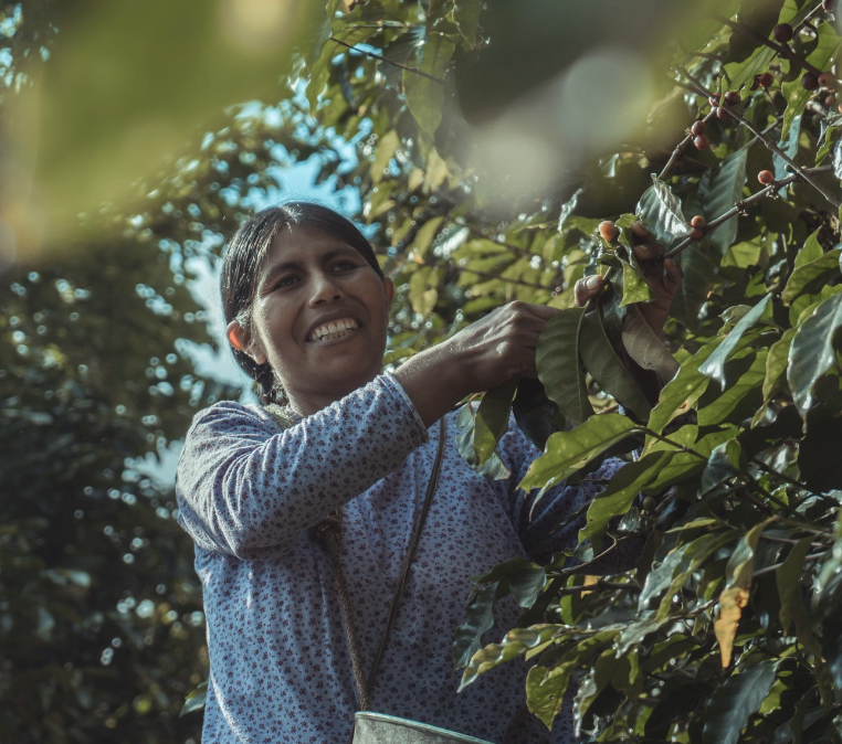 BoliviaFarmer.png