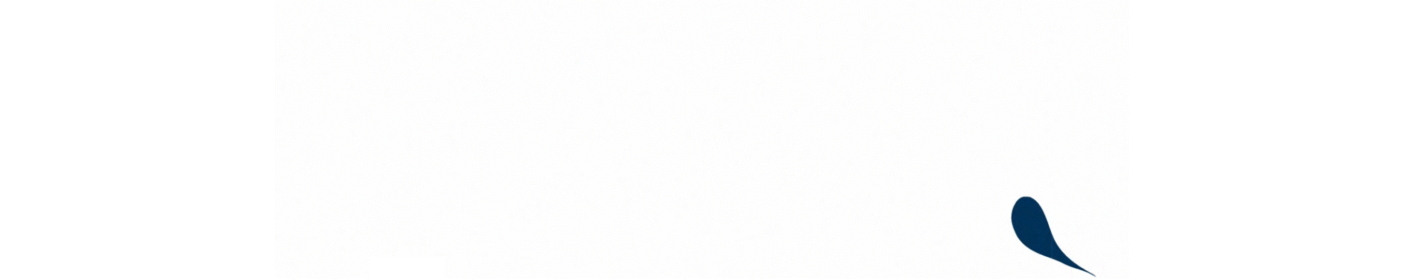 Noah_GIF.gif
