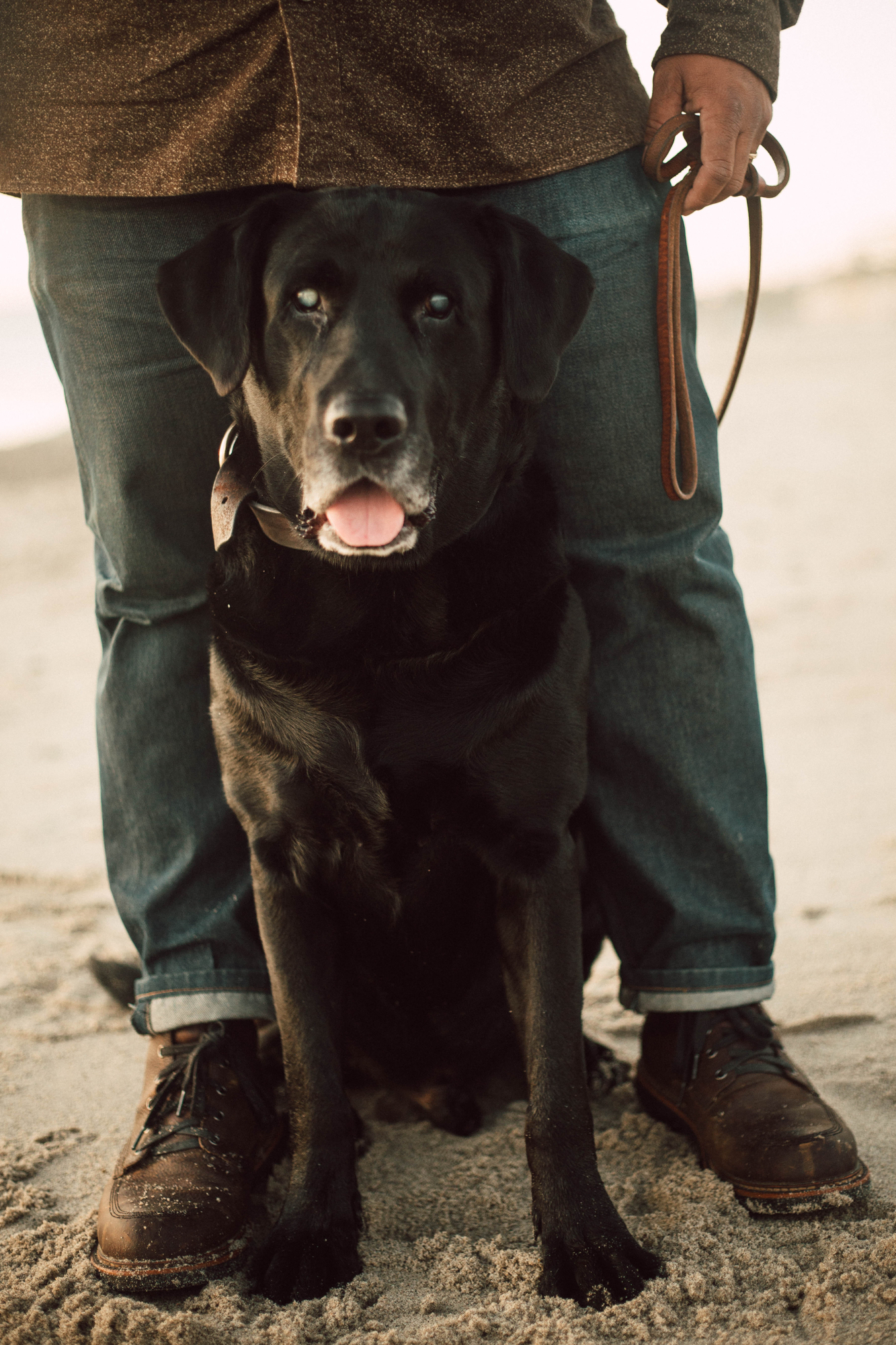 Dog Beach Family Photos 16.jpg