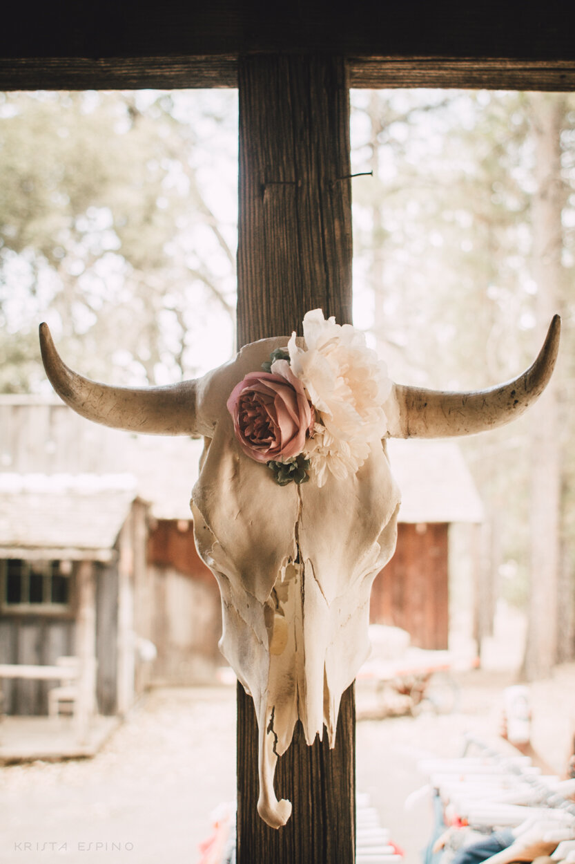 bandit town california lifestyle motorcycle horses nature fashion festival photographer country 11.jpg