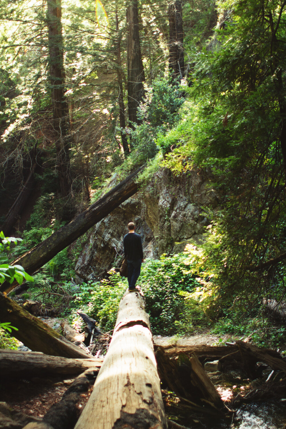 big sur california forest camp adventure camping surf surfing lifestyle ocean beach nature photography photographer krista espino_-11.jpg