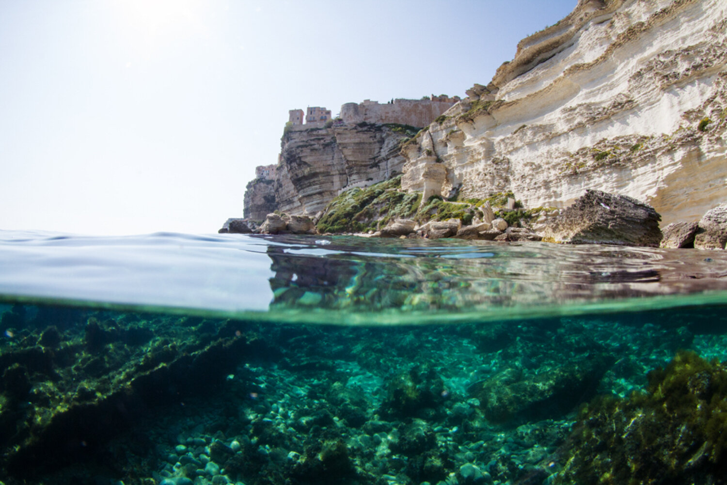 surf surfing lifestyle ocean beach nature photography photographer krista espino underwater travel corse corsica island mediterranean sea europe france french photographe-28.jpg