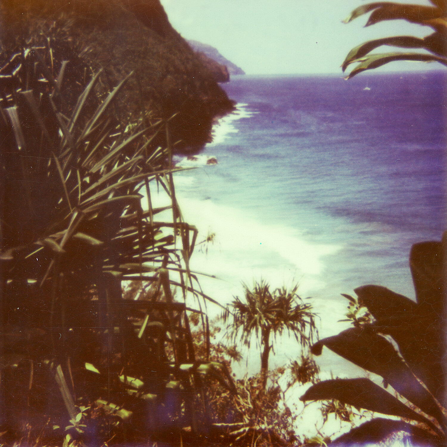 lifestyle nature photography photographer krista espino travel underwater swim ocean analog film 35mm polaroid kauai island hawaii-2.jpg