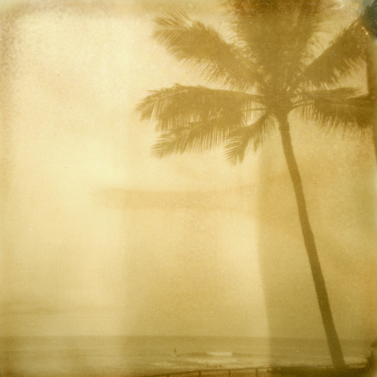 lifestyle nature photography photographer krista espino travel underwater swim ocean analog film 35mm polaroid kauai island hawaii-3.jpg