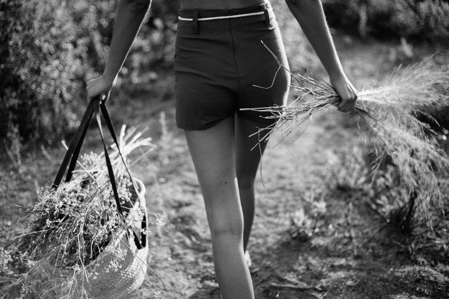 corse corsica immortale beauty photographe photographer model nature natural commercial Krista Espino - 37.jpg
