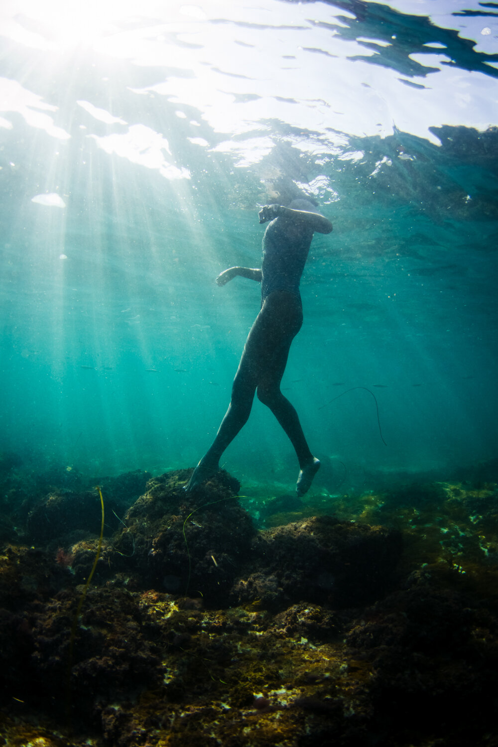California Laguna beach underwater ocean sea lifestyle surf photographer Krista Espino-20.jpg