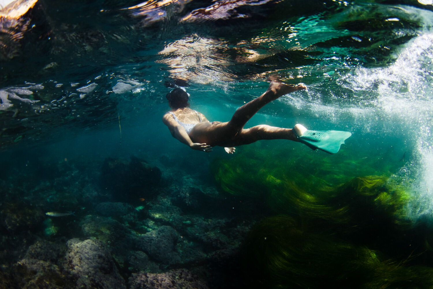 California Laguna beach underwater ocean sea lifestyle surf photographer Krista Espino-22.jpg