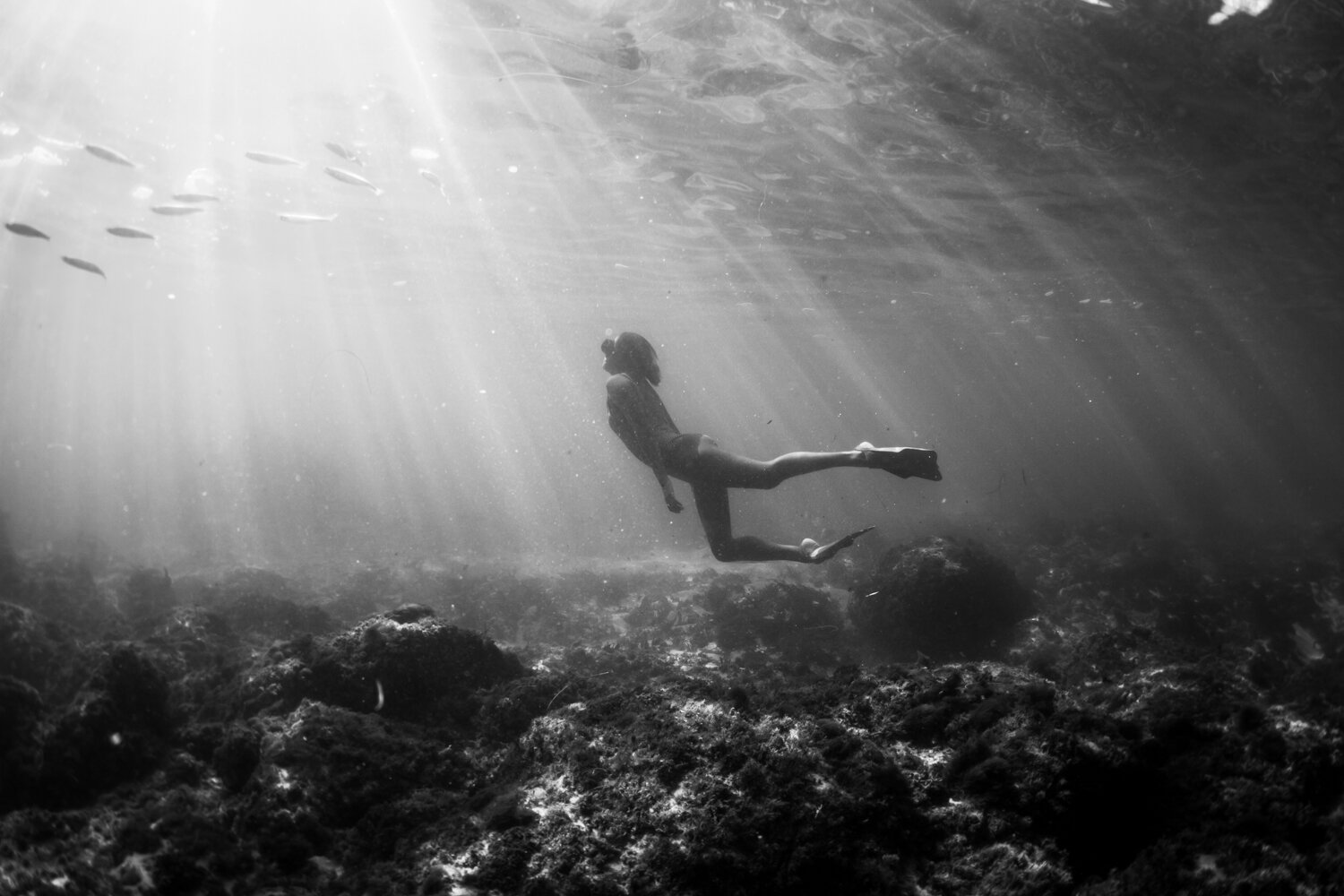 California Laguna beach underwater ocean sea lifestyle surf photographer Krista Espino-24.jpg