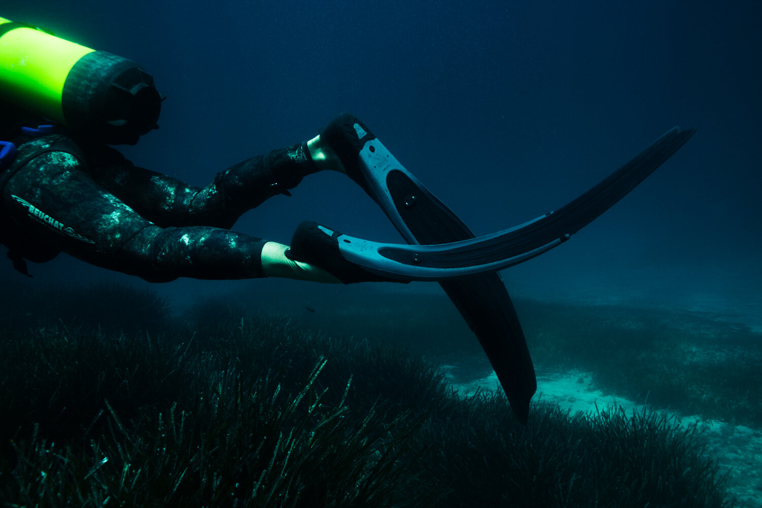 Krista Espino corse corsica photograph photographe photographer europe underwater plongee scuba dive diving explore adventure capo ajaccio corse-du-sud sea mediterranean island france french sealife  fish marine-16.jpg