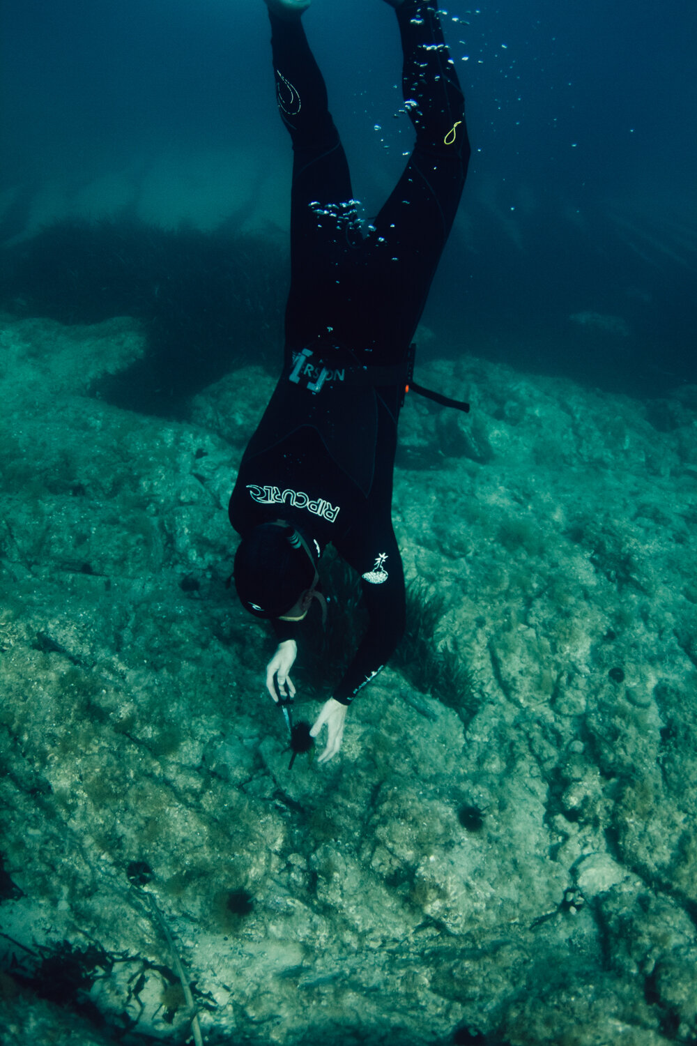 Krista Espino corse corsica photograph photographe photographer europe underwater freedive dive diving explore adventure ajaccio corse-du-sud sea mediterranean island france french_-6.jpg