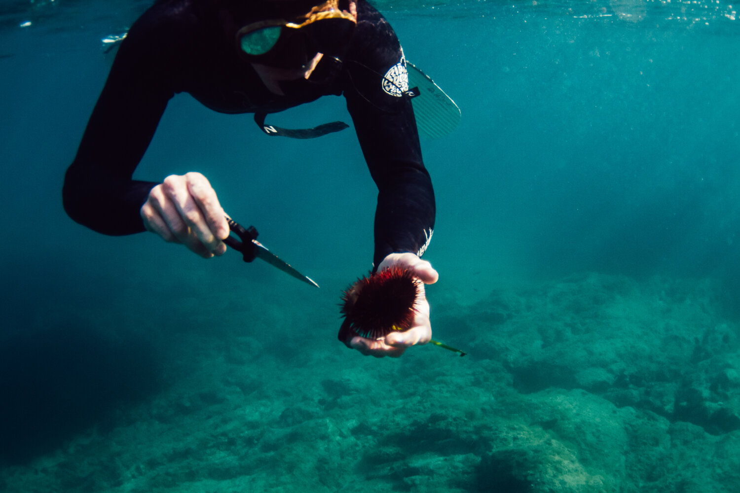 Krista Espino corse corsica photograph photographe photographer europe underwater freedive dive diving explore adventure ajaccio corse-du-sud sea mediterranean island france french_-7.jpg