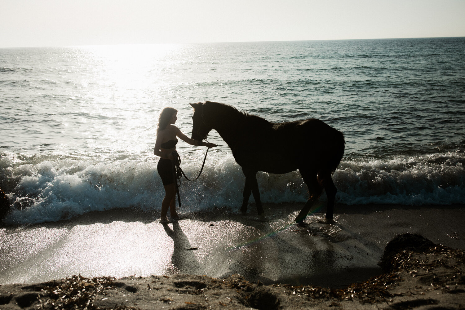 Immortale corsica corse beauty products beautiful horse model produits beaute beach travel Krista Espino sea island mediterranean photographe photographer fashion lifestyle editorial nature natural france french skin skincare face mask rose country-1.jpg