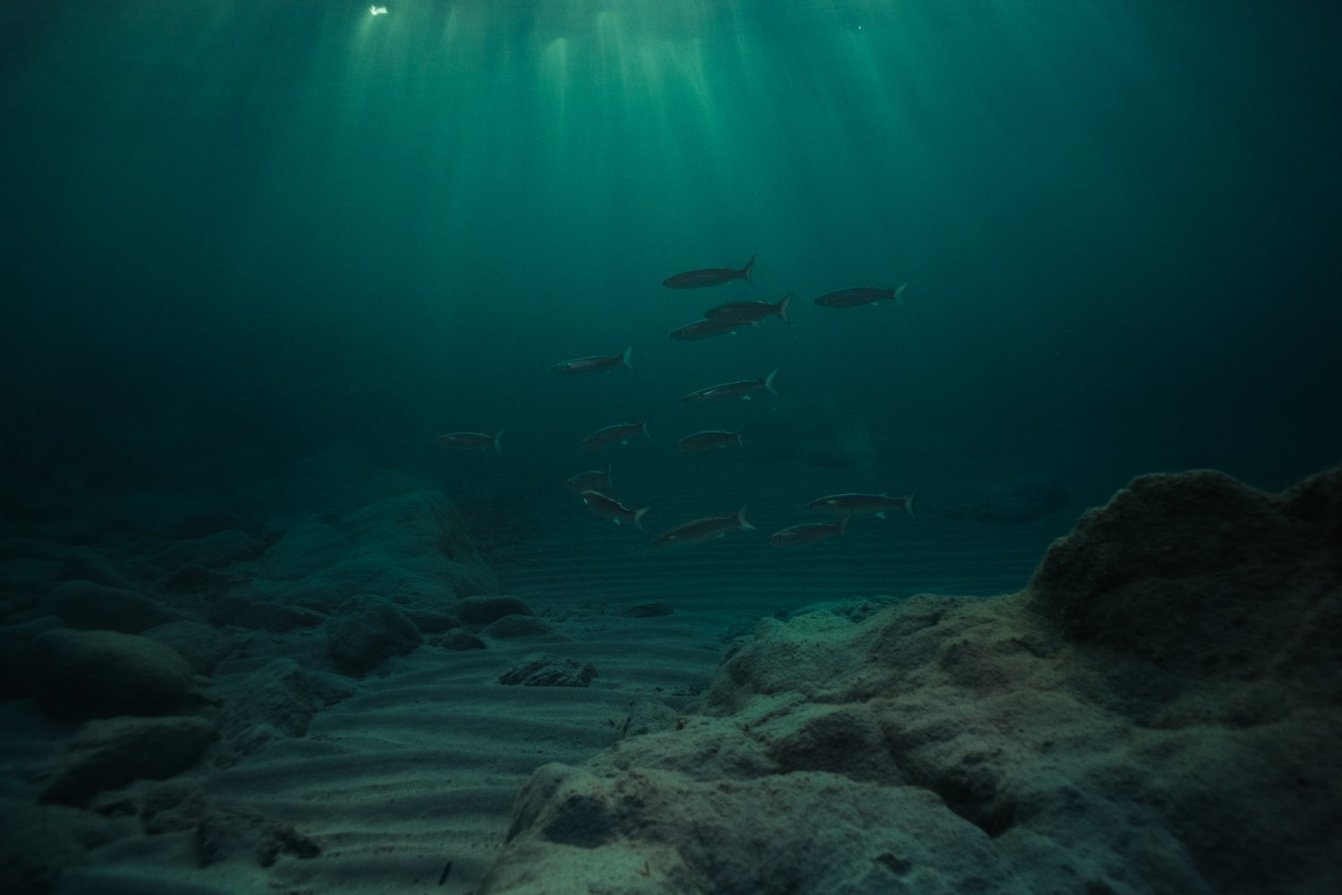 siren sirens corse corsica underwater photography photographe sous leau mermaid femme woman women nude nue fine art photography Krista Espino ajaccio sea Mediterranean france travel-36.jpg