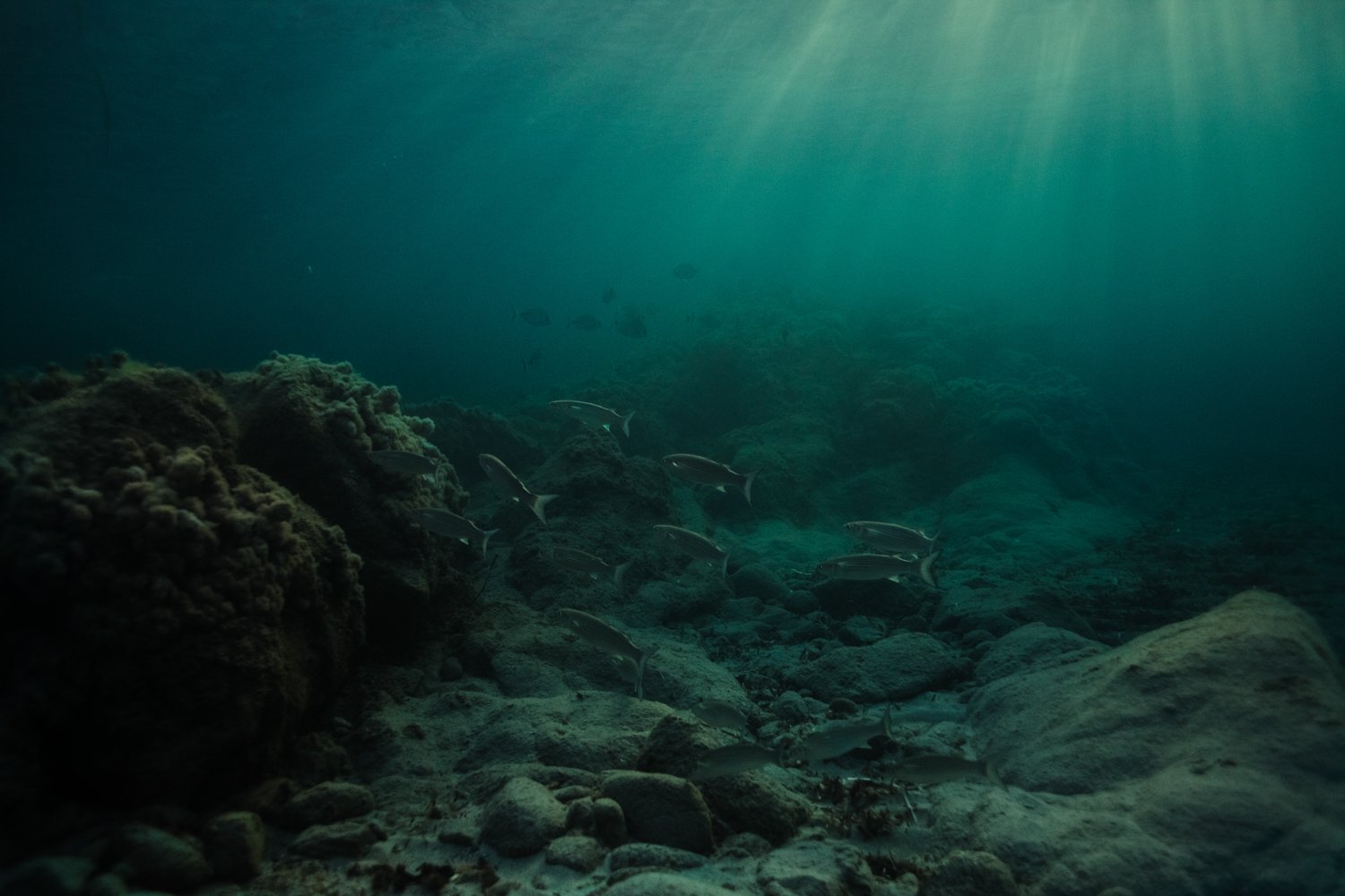 siren sirens corse corsica underwater photography photographe sous leau mermaid femme woman women nude nue fine art photography Krista Espino ajaccio sea Mediterranean france travel-37.jpg