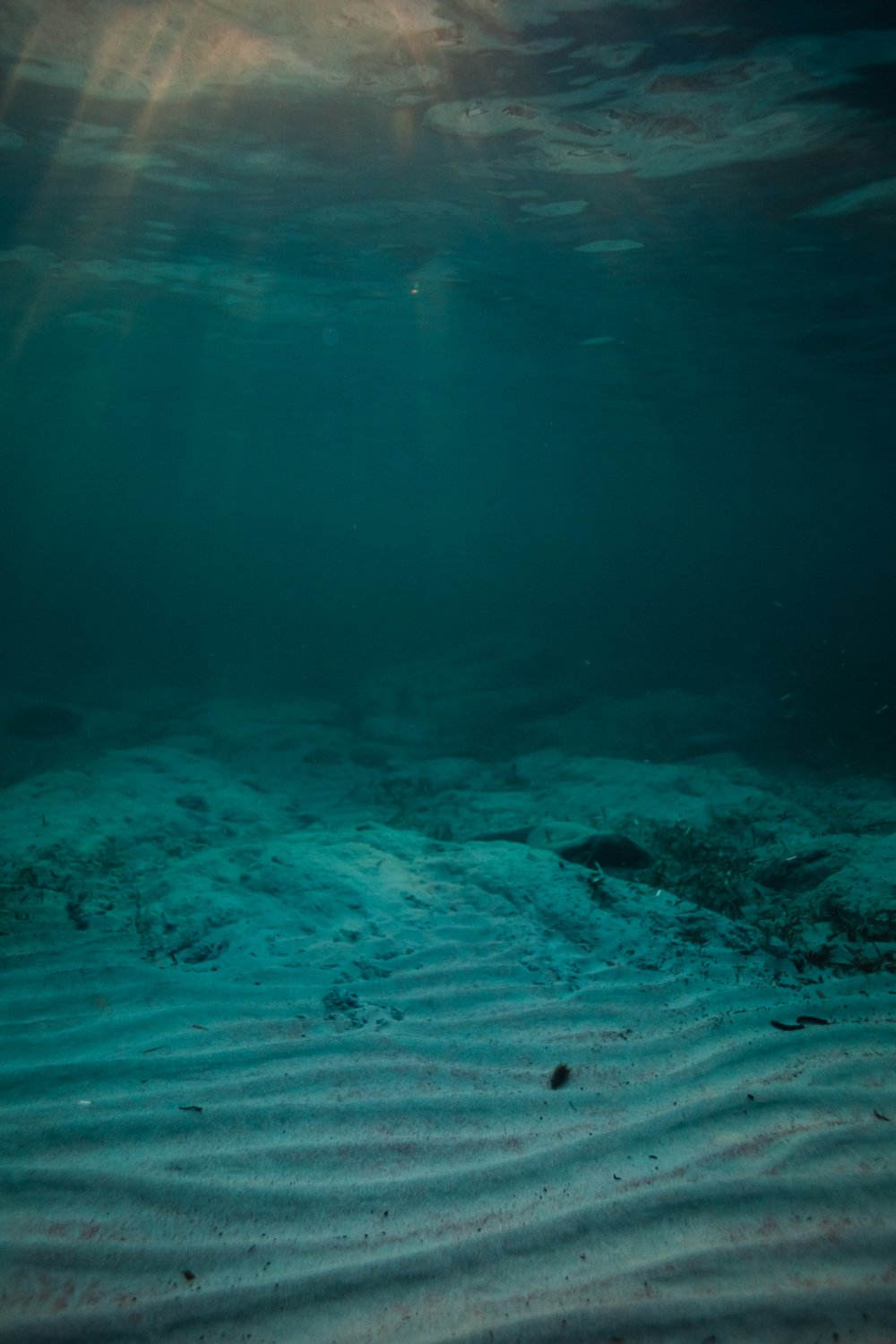 siren sirens corse corsica underwater photography photographe sous leau mermaid femme woman women nude nue fine art photography Krista Espino ajaccio sea Mediterranean france travel-54.jpg